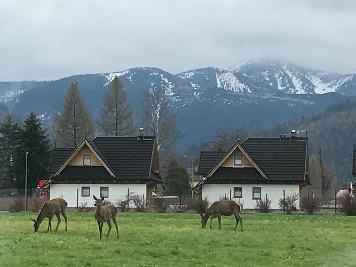 Willa Skoczek: Two-Room Apartment with Shared Bathrooms and Thermal Spa Access Zakopane Exterior photo