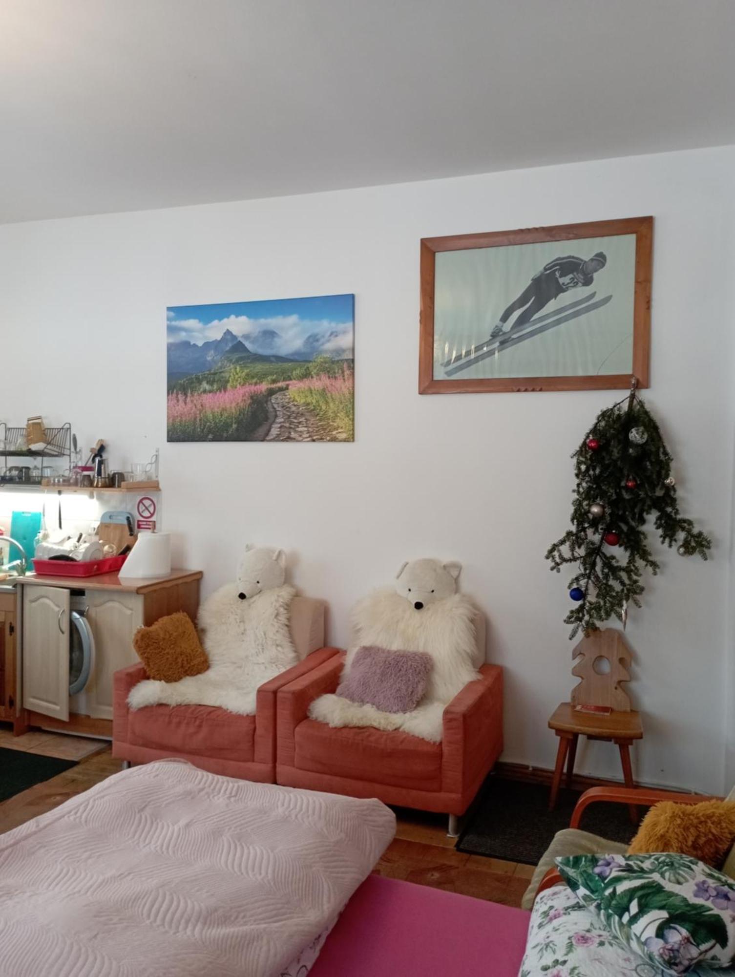 Willa Skoczek: Two-Room Apartment with Shared Bathrooms and Thermal Spa Access Zakopane Exterior photo